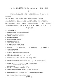 四川省泸州市泸化中学2024-2025学年高一上学期1月期末化学试题（Word版附解析）