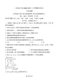 四川省泸州市泸县第五中学2024-2025学年高二上学期1月期末考试化学试题（Word版附解析）