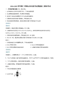 山东名校考试联盟2024-2025学年高三下学期2月开学考试化学试卷（Word版附解析）