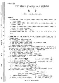 河南省示范性高中2025届高三上学期11月质量监测化学试卷