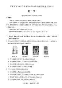 2025届河北省石家庄市一模 高三教学质量检测（一）化学试题及答案