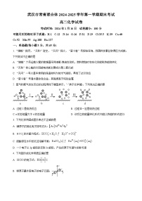 湖北省武汉市常青联合体2024-2025学年高二上学期期末考试化学试卷（原卷版+解析版）