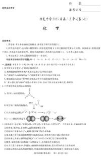 湖南省长沙市雅礼中学2024-2025学年高三下学期月考卷（七）化学试题（附参考答案）