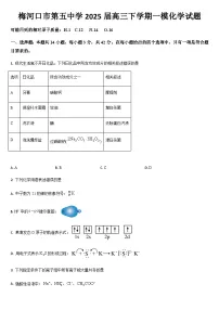 吉林省通化市梅河口市第五中学2025届高三下学期一模化学试题（含答案）