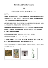 广东省梅州市2025届高三下学期一模化学试卷（含答案）