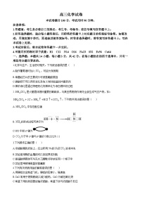 新疆维吾尔自治区金太阳2024-2025学年高三上学期10月期中考试+化学试题