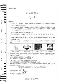 河南省创新发展联盟2025届高三下学期3月一模化学试题（PDF版附答案）