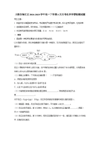 上海市徐汇区2024-2025学年高一下册3月月考化学学情检测试题（附答案）