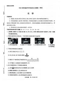 2025届河南省濮阳市高三一模 暨青桐鸣大联考 化学试题及答案