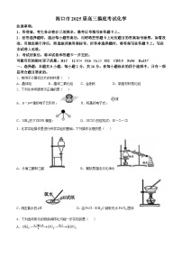 海南省海口市2025届高三上学期摸底考试 化学试题（含答案）
