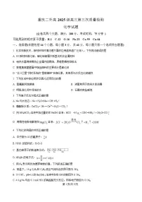 重庆市四川外语学院重庆第二外国语学校2024-2025学年高三上学期第三次质量检测化学试卷（Word版附解析）