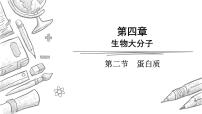 高中化学人教版 (2019)选择性必修3蛋白质授课课件ppt