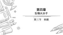高中化学人教版 (2019)选择性必修3核酸背景图ppt课件