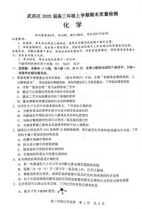 湖北武汉武昌区2025届高三上学期期末质检化学试卷（含答案）