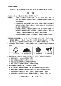 广东省2025届高三下学期3月第一次调研考试化学试题及答案