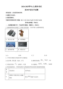 重庆市主城区七校联考2024-2025学年高一上学期期末考试 化学试题（含答案）