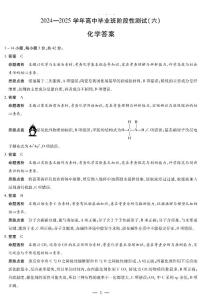 河南省部分学校2024-2025学年高三下学期3月阶段性测试（六）化学试卷（PDF版附解析）
