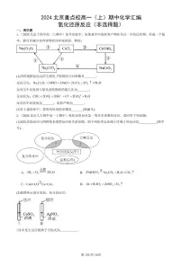 2024北京重点校高一（上）期中真题化学汇编：氧化还原反应（非选择题）