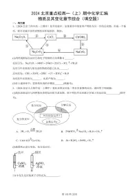 2024北京重点校高一（上）期中真题化学汇编：物质及其变化章节综合（填空题）