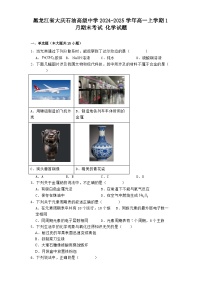黑龙江省大庆石油高级中学2024-2025学年高一上学期1月期末考试 化学试题