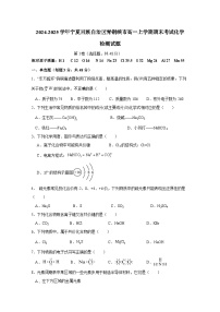 2024-2025学年宁夏回族自治区青铜峡市高一上学期期末考试化学检测试题（附答案）