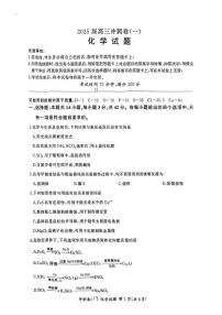 2025年百师联盟高三下学期3月冲刺卷（一）化学试题