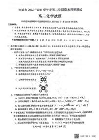 2024届安徽宣城高二下（期末考）-化学试题（含答案）