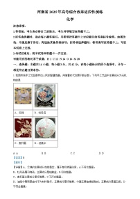 2025年1月河南省普通高等学校招生考试适应性测试（八省联考）化学试题Word版含解析