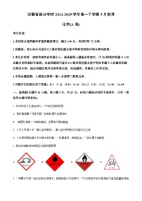 安徽省部分学校2024-2025学年高一下学期3月联考化学试卷（含答案）