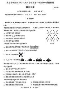 2024届北京朝阳高三上(11月期中)-化学试题（含答案）