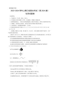 2024届重庆市三校联考高三上(10月考)-化学试题（含答案）