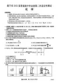 化学丨广西南宁市2025届高三下学期3月第二次适应性测试化学试卷及答案