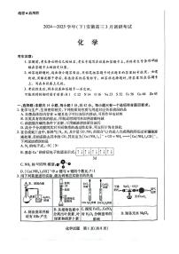天一大联考2025届高三下学期3月月考 化学试题（含答案）