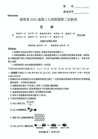 湖南省九校联盟2024-2025学年高三下学期第二次联考化学试卷 扫描版含解析