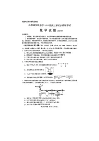 2024-2025学年下学期山东省实验中学2025届高三第五次诊断考试（3月一模）化学试卷含答案