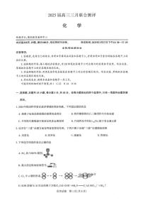 湖北省2025届高三下学期高考模拟 联合测评化学试题