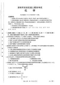 2024届广东省深圳市宝安区高三上学期期末考试(1月)-化学试题（含答案）