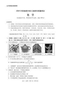 2024届广东省汕尾市高三上学期1月期末试卷-化学试题（含答案）