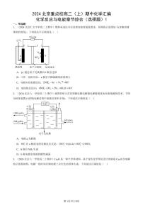 2024北京重点校高二（上）期中真题化学汇编：化学反应与电能章节综合（选择题）1