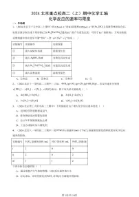 2024北京重点校高二（上）期中真题化学汇编：化学反应的速率与限度