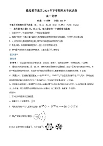 湖南省长沙市雅礼教育集团2024-2025学年高一上学期期末考试化学试题 含解析