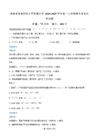 湖南省湖南师范大学附属中学2024-2025学年高一上学期期末考试 化学试题  含解析