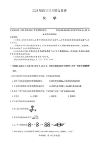 湖北省名校圆创联盟2025届高三三月联合测评化学试卷（含答案）