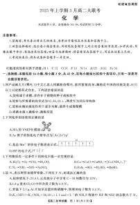 湖南省名校联盟2024-2025学年高二下学期3月联考化学试卷（含答案）