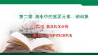 高中化学人教版 (2019)必修 第一册氯及其化合物多媒体教学课件ppt