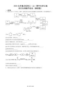 2024北京重点校高三（上）期中真题化学汇编：烃衍生物章节综合（解答题）