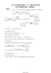 2024北京重点校高三（上）期中真题化学汇编：烃衍生物章节综合（解答题）