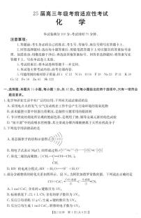 安徽六安2025届高三下学期3月考前适应性考试化学试题+答案