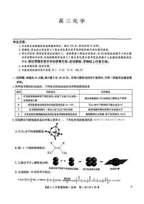 2025年九师联盟高三下学期3月化学试题及答案