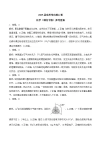 2025届高考化学考向核心卷 湖北专版（word版含解析）